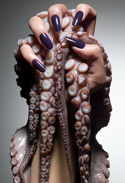 Beauty Fotografie Fabian Aurel Hild, Hand mit Oktopus