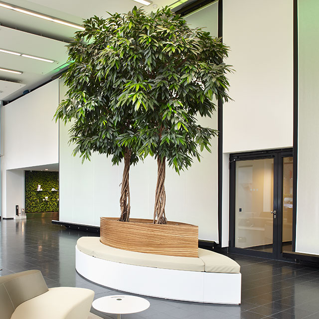 Interiorfotografie Fabian Aurel Hild für Green-Office-Deutschland bei Philips in Hamburg