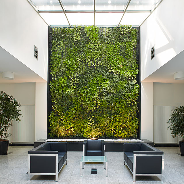 Interiorfotografie Fabian Aurel Hild für Hydroflora bei AXA in Frankfurt