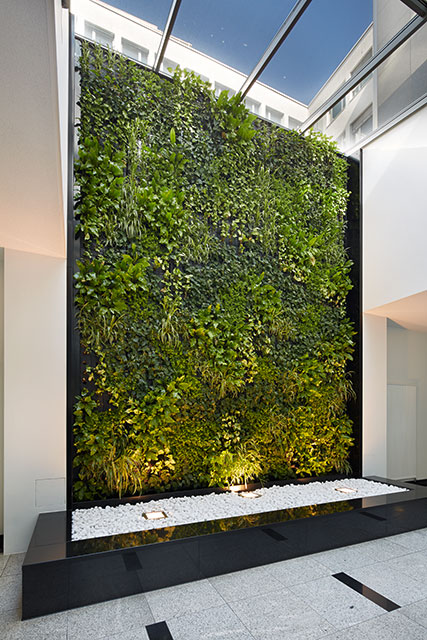Interiorfotografie Fabian Aurel Hild für Hydroflora bei AXA in Frankfurt