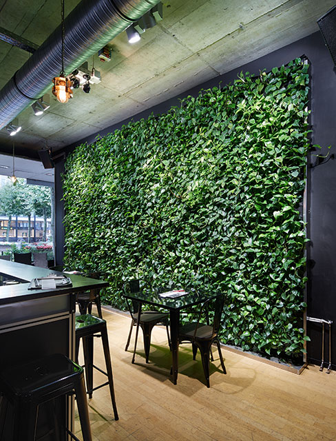 Interiorfotografie Fabian Aurel Hild für Hydroflora im Restaurant Gutleut, Mainz